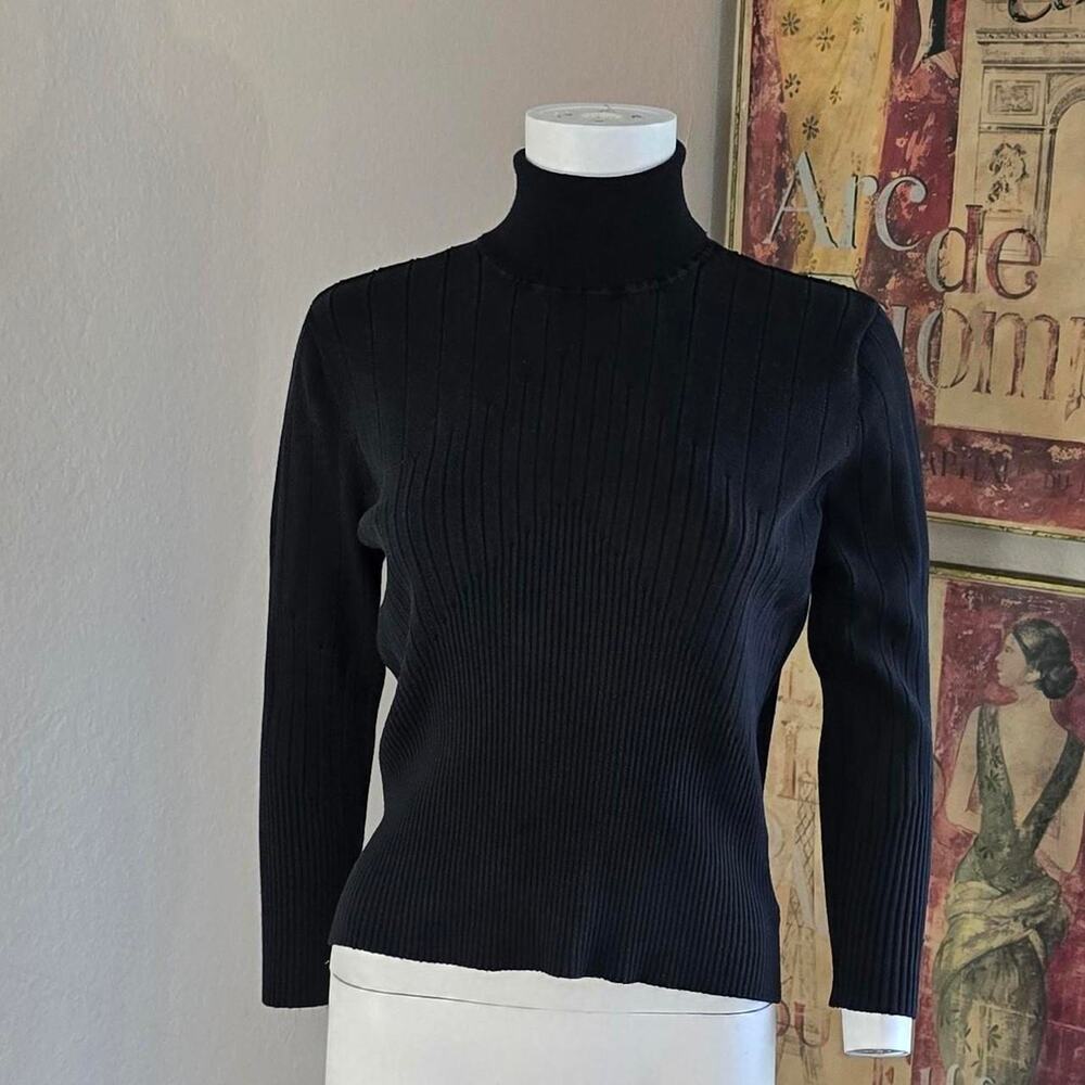 Black Rib Knit Silk Blend Turtle Neck by Siena Studio